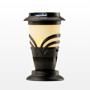 Backyard Torch